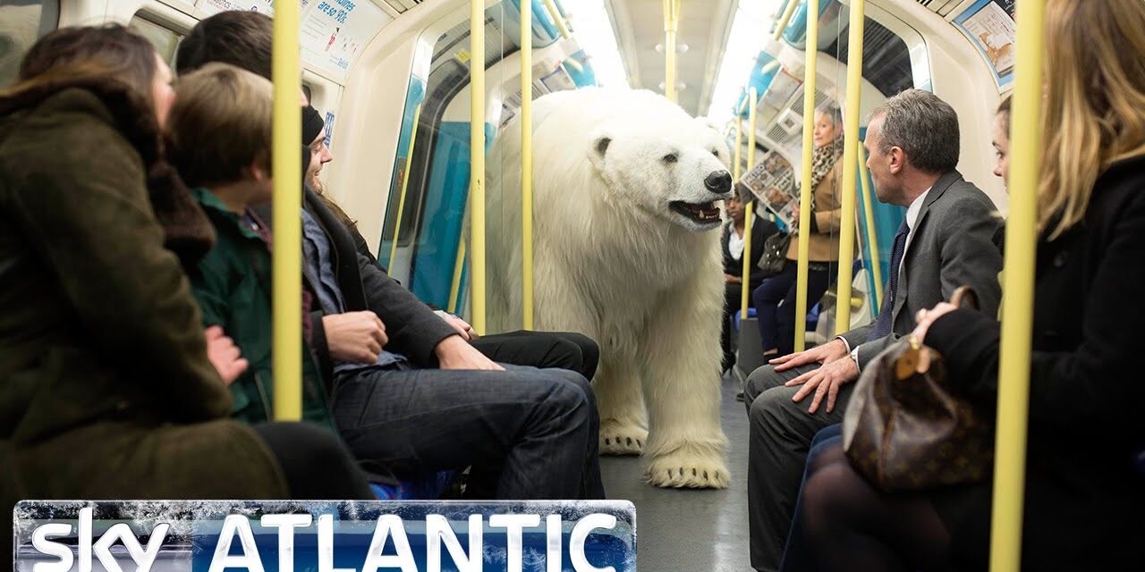 Huge ‘polar bear’ walks on the streets of London makes people Talk