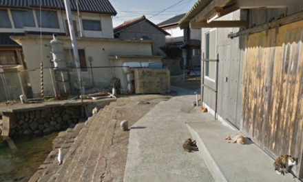 The Cat island, Aoshima Japan