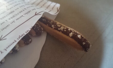 Petites baguettes Delicious Butter cookie Chocolate biscuit Review
