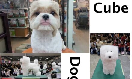 Shaving Dogs Into Cubes seems to have become A New Japanese Thing