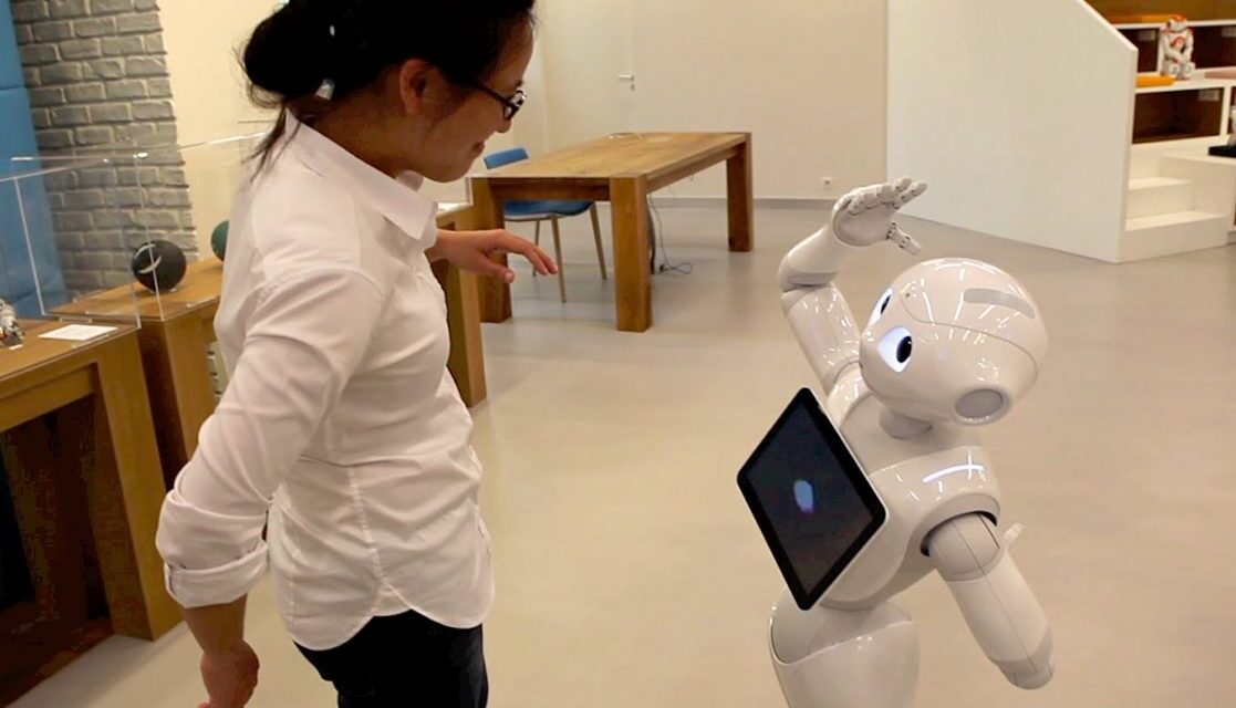 Examples of social robots that can Interact with People