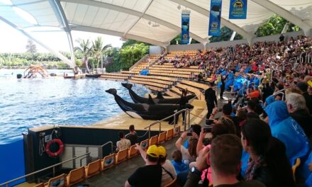Here is our Interesting Review of Loro Parque on Tenerife