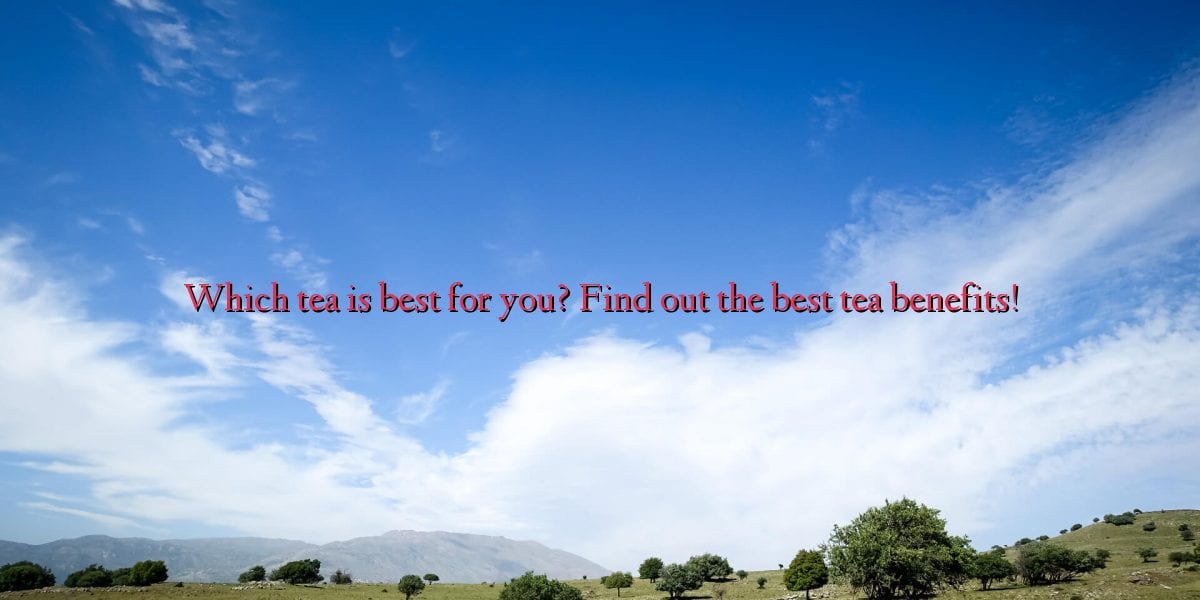 Which tea is best for you? Find out the best tea benefits!