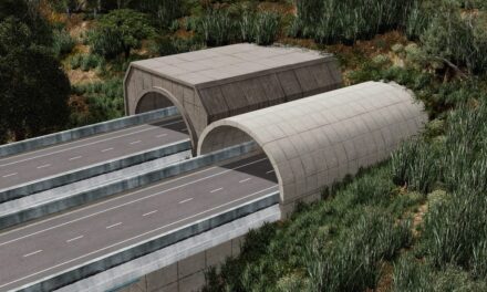 Fantastic Tunnel Entrances for Cities Skylines