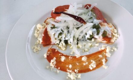 Red Enchiladas with Fresh Cheese