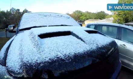 Snow in Florida does not happen every day