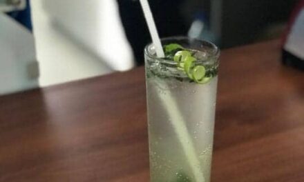 Mint Mojito | Super Easy Recipe that will Move all of your Guests
