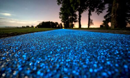 Glowing bicycle paths in the Night means easy bike paths near me