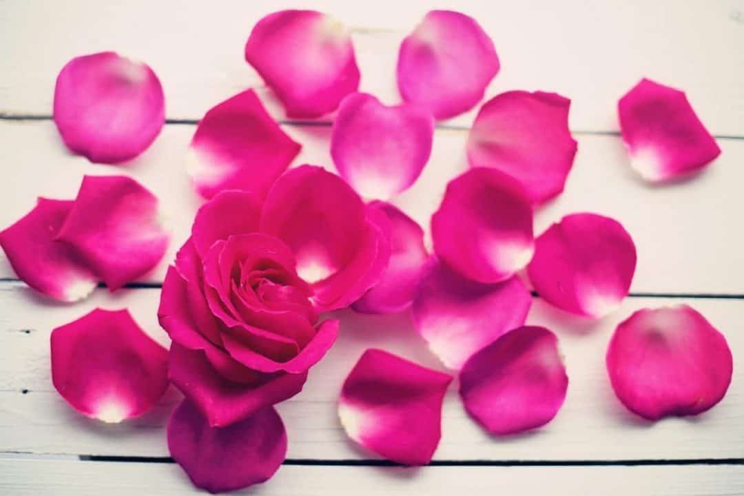rose petals benefits