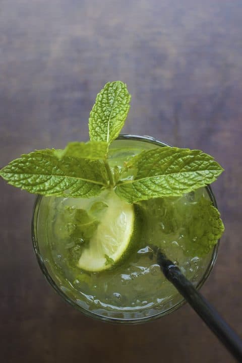 Mint Mojito | Super Easy Recipe that will Move all of your Guests 1